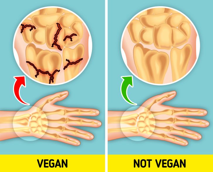 10 Things That Happen in Our Body When We Go Vegan